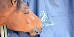 Abbiamo rinnovato la nostra immagine