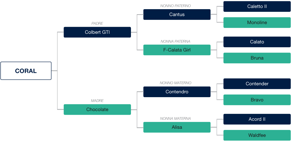 genealogia-coral_petrognano