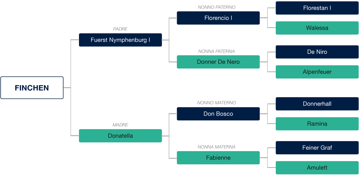 genealogia-finchen_petrognano